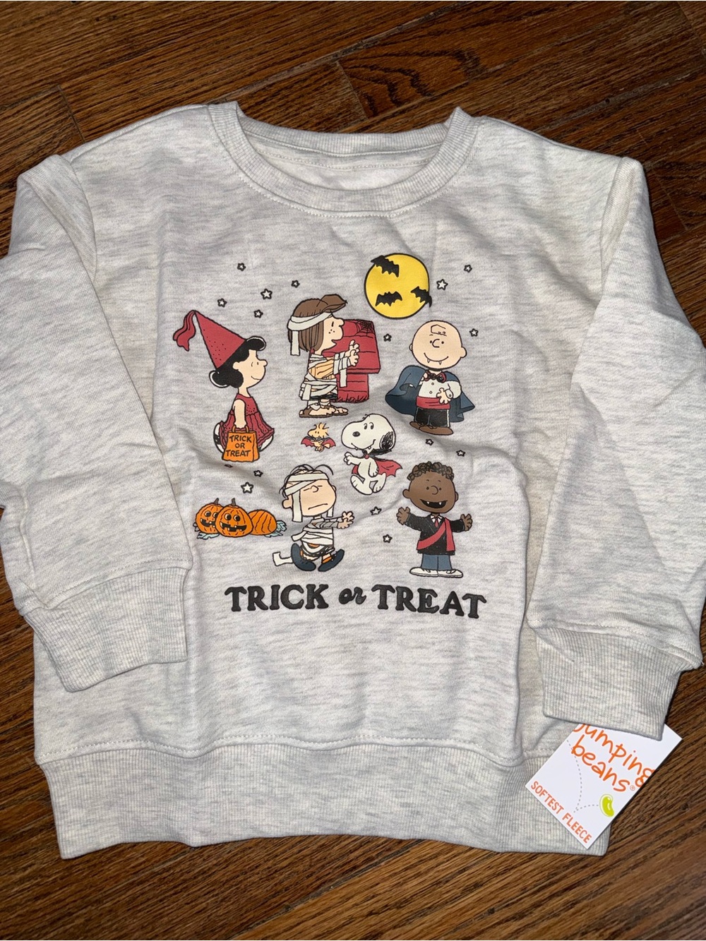 Toddler Snoopy Halloween Trick or Treat Sweatshirt. NWT.